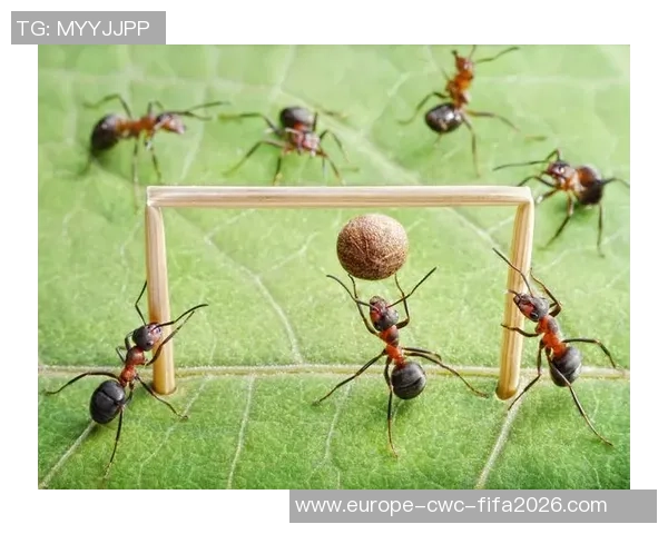 畅玩蚂蚁足球下载体验精彩足球世界尽在掌握之中