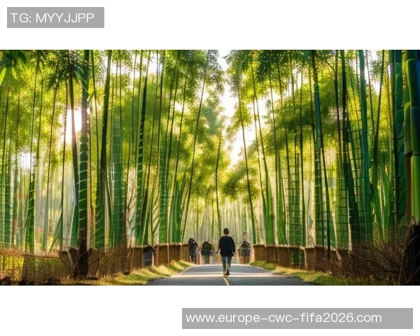 竹林间的绿意盎然足球场拍照体验记录与感悟分享