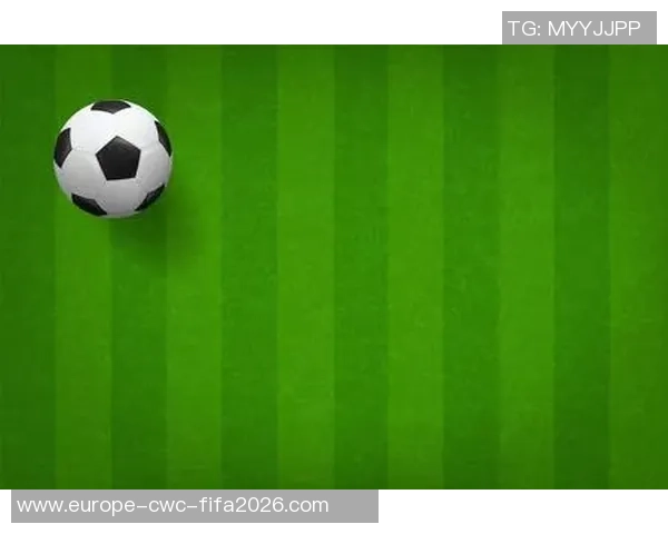 足球场矢量图设计与应用探讨提升视觉效果与创意表现力